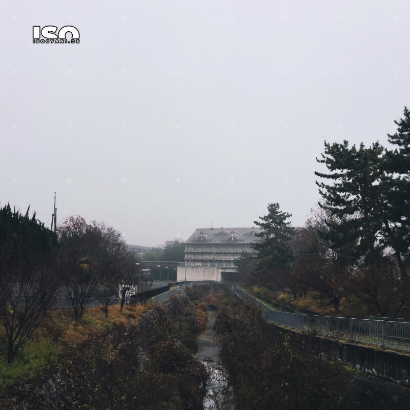 天理市